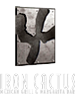 Iron Cactus